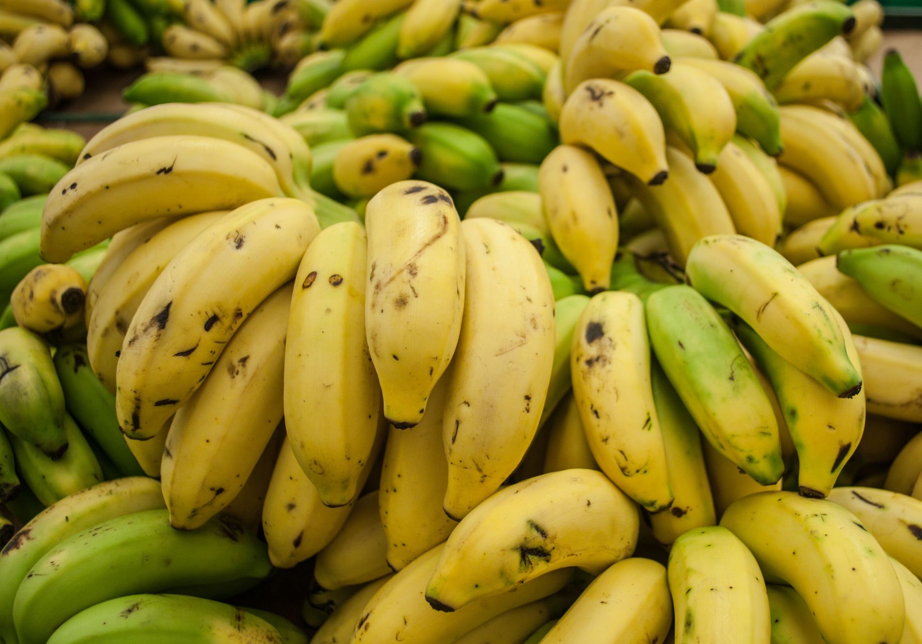 Banana das Américas Pack 5kg